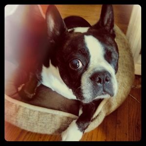 SEND ME AN OFFER PLEASE v(=∩_∩=)ﾌ